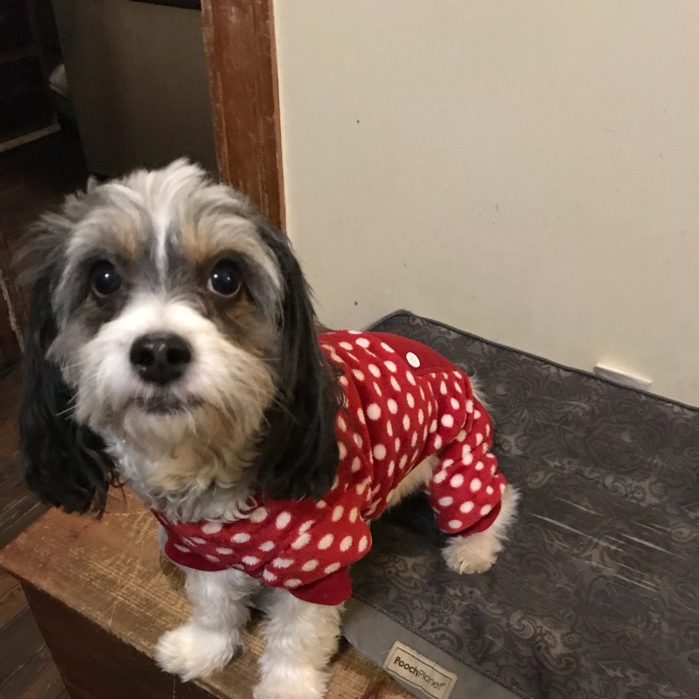 Meet your Posher, Sharon